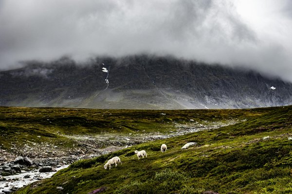 Wie kann man als Reisender nachhaltige Entscheidungen treffen?