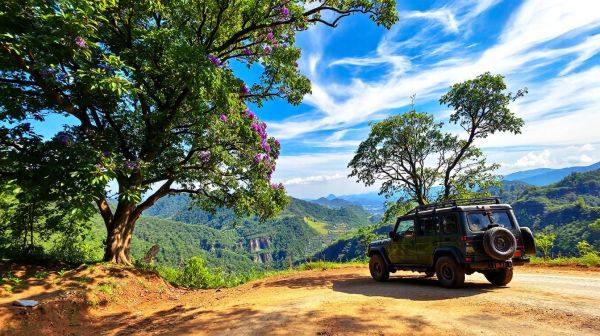 Top Vorteile eines Autos mit Fahrer für Reisen in Südindien